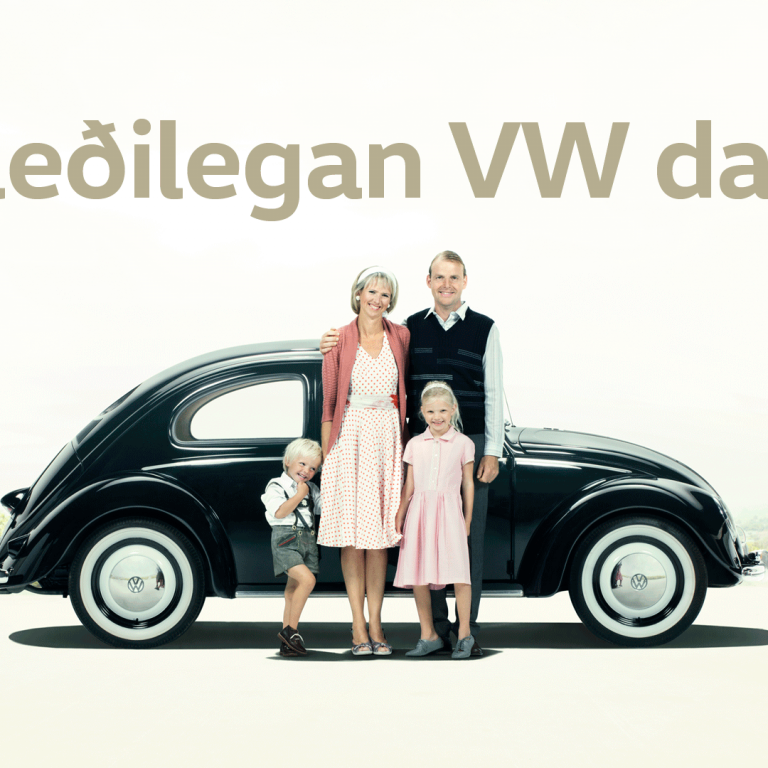 Gleðilegan VW dag!